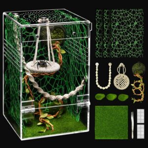 AZV jumping spider enclosure showing the 360-degree crystal-clear acrylic view