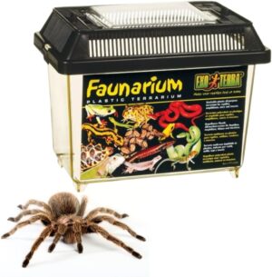 Exo Terra Faunarium Small PT2255