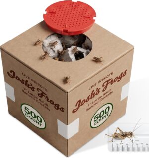 Josh's Frogs 1" Adult Banded Feeder Crickets for Pets (500 Count)
