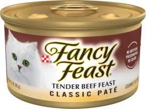 Fancy Feast tender beef pate 24-pack outer cardboard box view