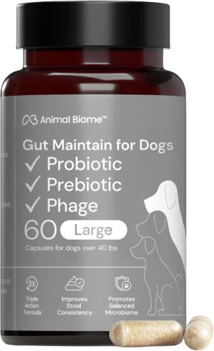 Animal Biome Large Dog Pre and Probiotics, S Boulardii, Gut Maintain, 60 Ct