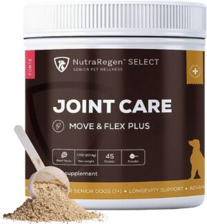 Forte Dog Hip & Joint Powder – Glucosamine, Chondroitin & MSM
