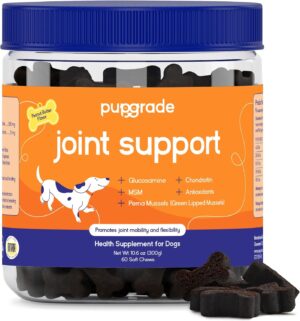 Joint Support for Dogs, Peanut Butter Flavor - 60 Soft Chews