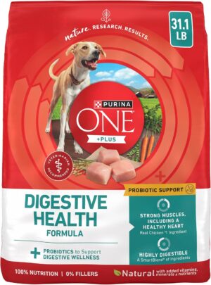 Purina ONE Plus Digestive Health Dry Dog Food, Chicken, 31.1 lb Bag
