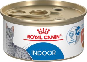 Royal Canin Feline Health Nutrition Indoor Adult Morsels in Gravy Cat Food, 3 oz (Pack of 24)