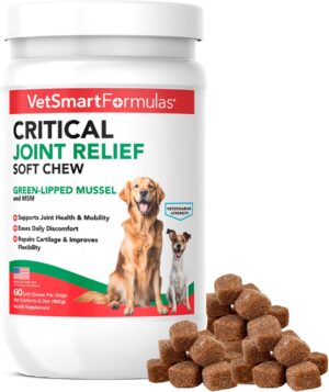 Critical Joint Relief Soft Chew for Dogs – Hip & Joint Supplement with Glucosamine, MSM, Green-Lipped Mussel – Joint Discomfort, Hip Dysplasia & Mobility Support, Made in USA