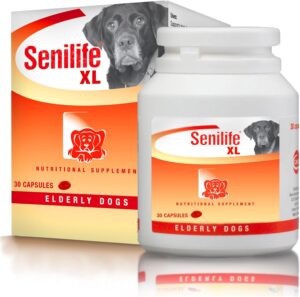 Senilife XL Cognitive Support Capsules for Senior Dogs, Brain Health & Cognitive Function Supplement for Large Breeds, Supports Memory, Learning & Mental Alertness, 30 Capsules