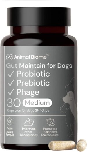 Animal Biome Medium Dog Pre & Probiotics, S Boulardii, Gut Maintain, 30 Ct