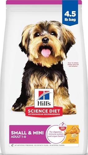 Close up view of Hill's Science Diet small and mini dry dog food kibble texture