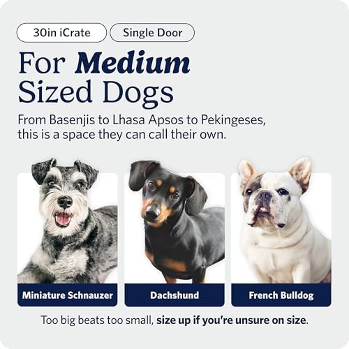 Midwest 30-Inch Single Door iCrate, for Medium Breeds, 21-40 lbs - Image 3