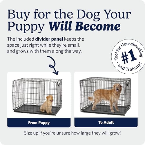 Midwest 30-Inch Single Door iCrate, for Medium Breeds, 21-40 lbs - Image 4