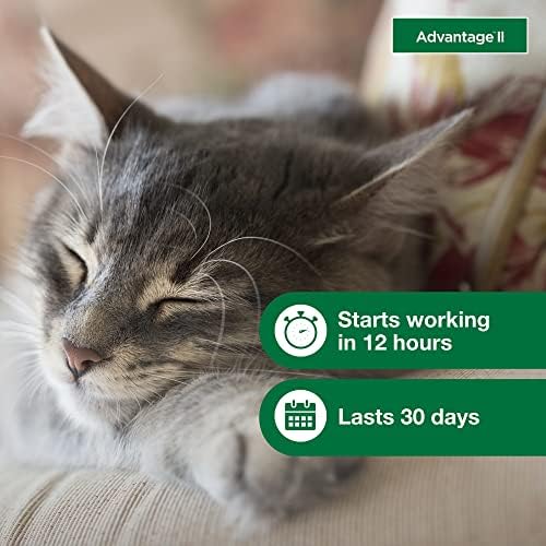 Advantage II Small Cat Topical Flea Treatment & Prevention, 2ct - Image 6