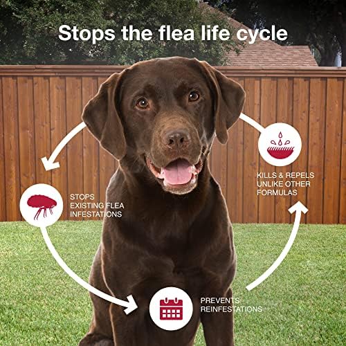 K9 Advantix II Flea & Tick Topical for Large Dogs 21–55 lbs., 2ct - Image 7