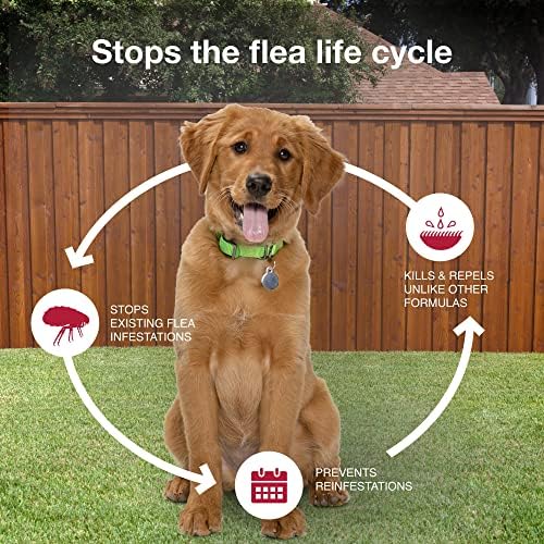 K9 Advantix II Flea & Tick Topical for Medium Dogs 11–20 lbs., 2ct - Image 7